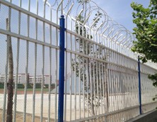芜湖厂区铁艺护栏